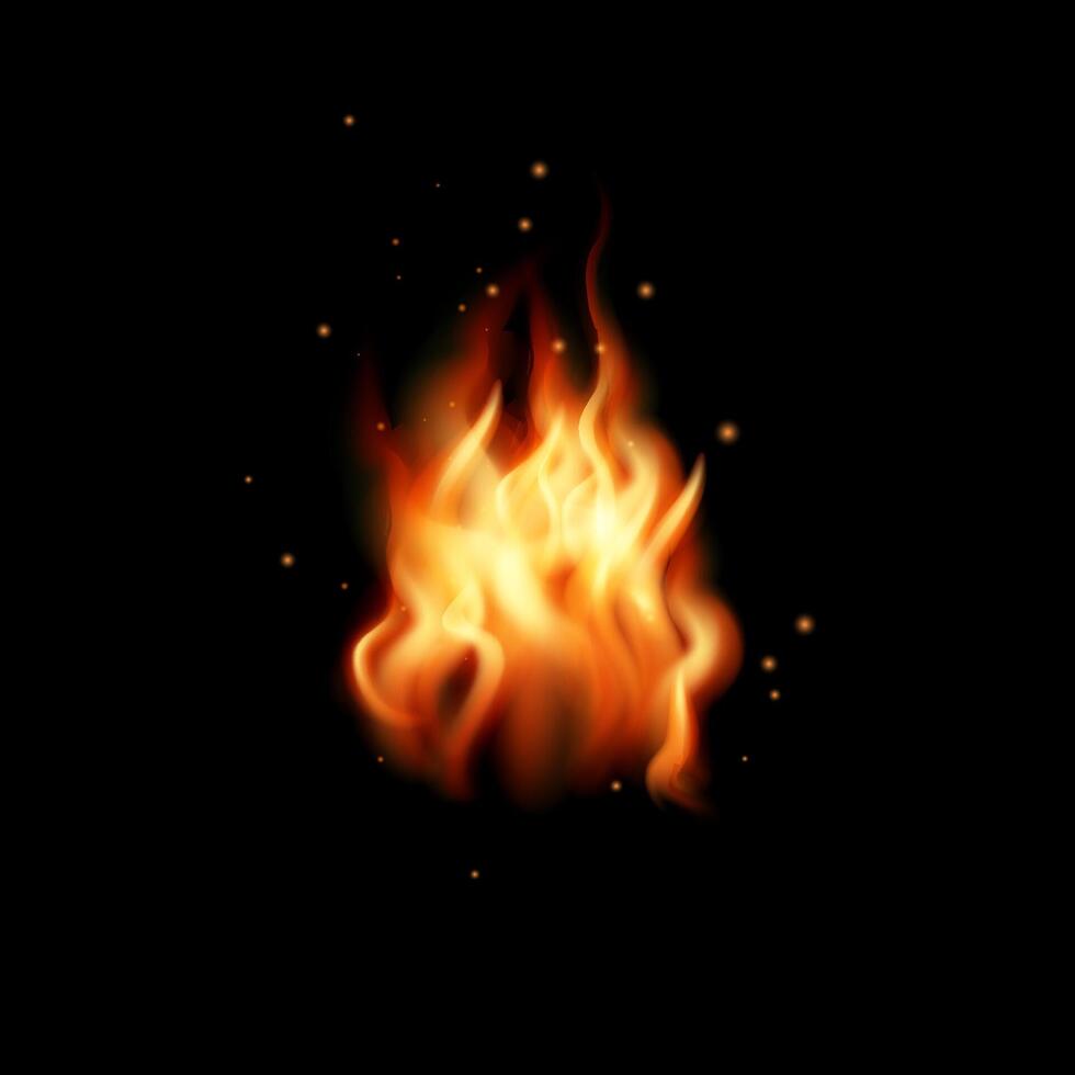 Realistic fire flame isolated on black background vector