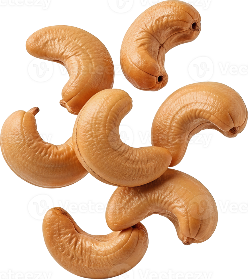 Cashew Nut In Motion png
