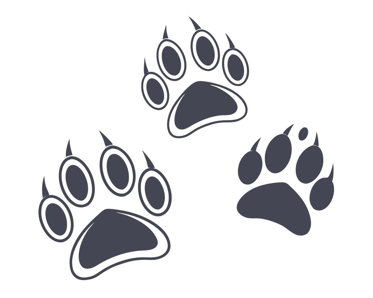 illustration of three bear paw prints with sharp claws on a clean white background vector