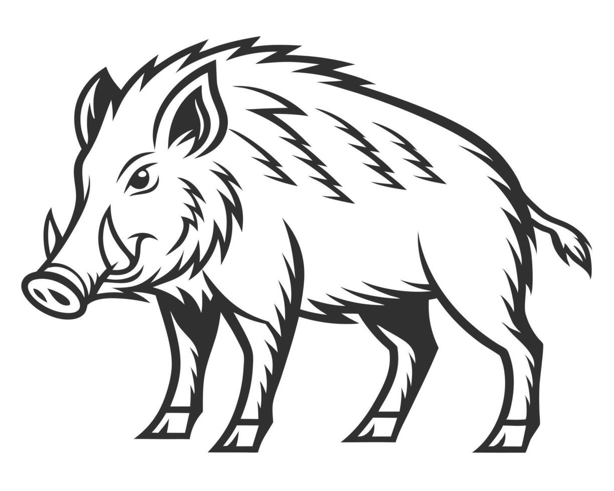 Detailed black and white illustration of a wild boar depicting strength and aggression in art vector