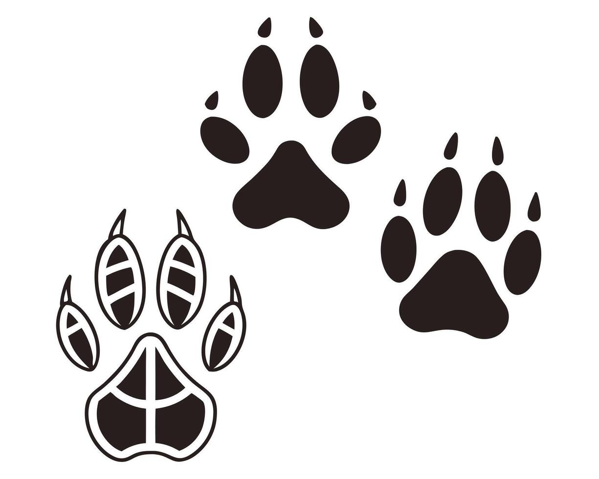 illustration of three different animal paw prints in black against a white background. vector