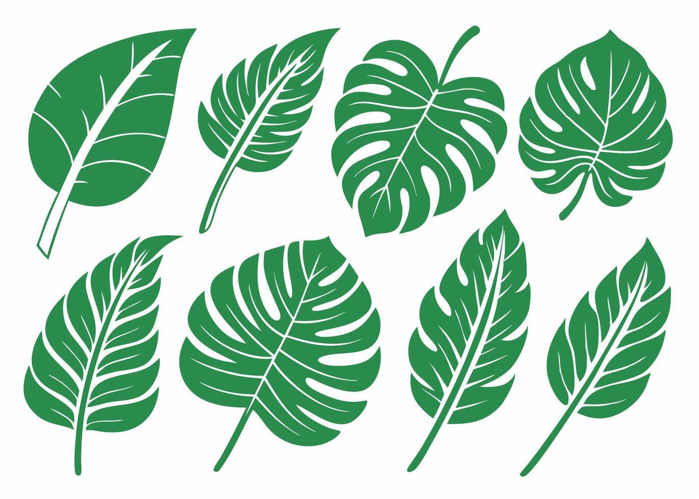 Green tropical leaves set isolated on white background illustrating nature and botanical design elements vector