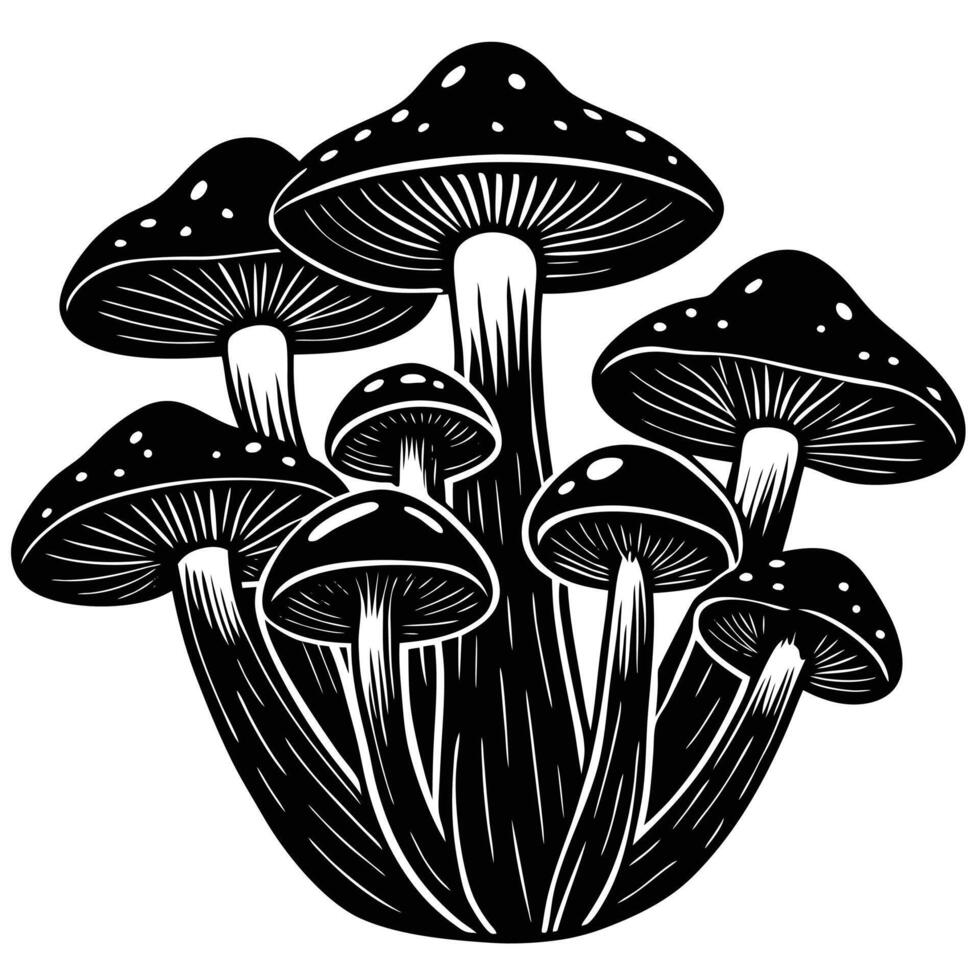 Elegant black and white illustration of a cluster of poisonous mushrooms on a white background vector