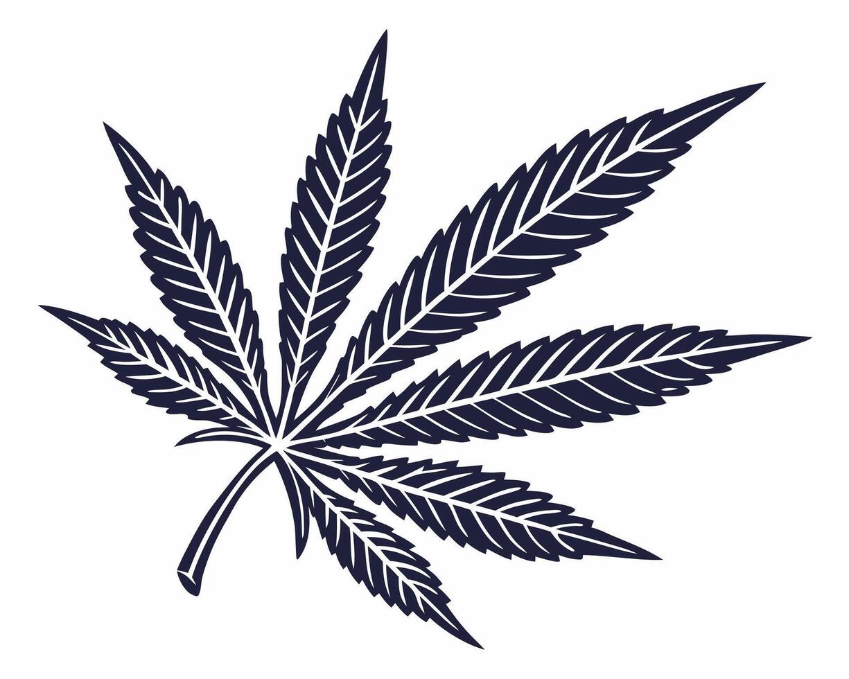 Elegant illustration of a cannabis leaf graphic in a minimalist and artistic design style vector