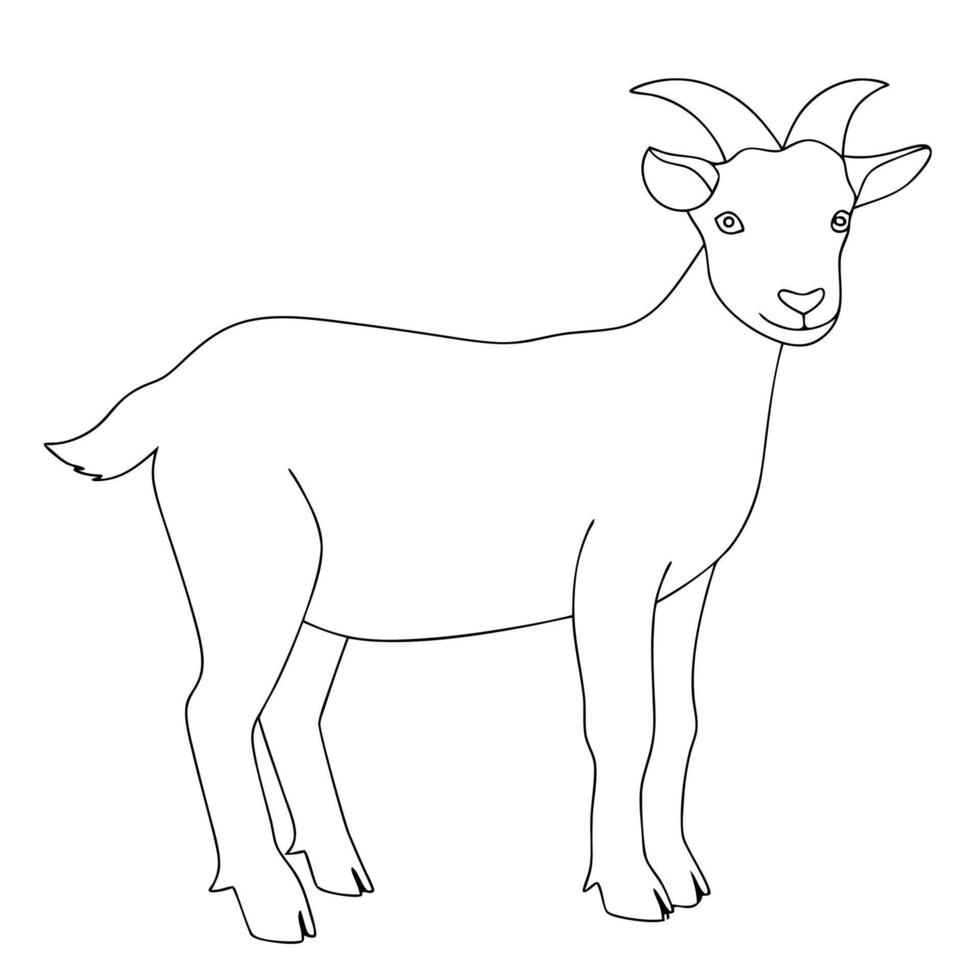 Outlined cartoon illustration of a standing goat with curved horns and simple clean lines. vector