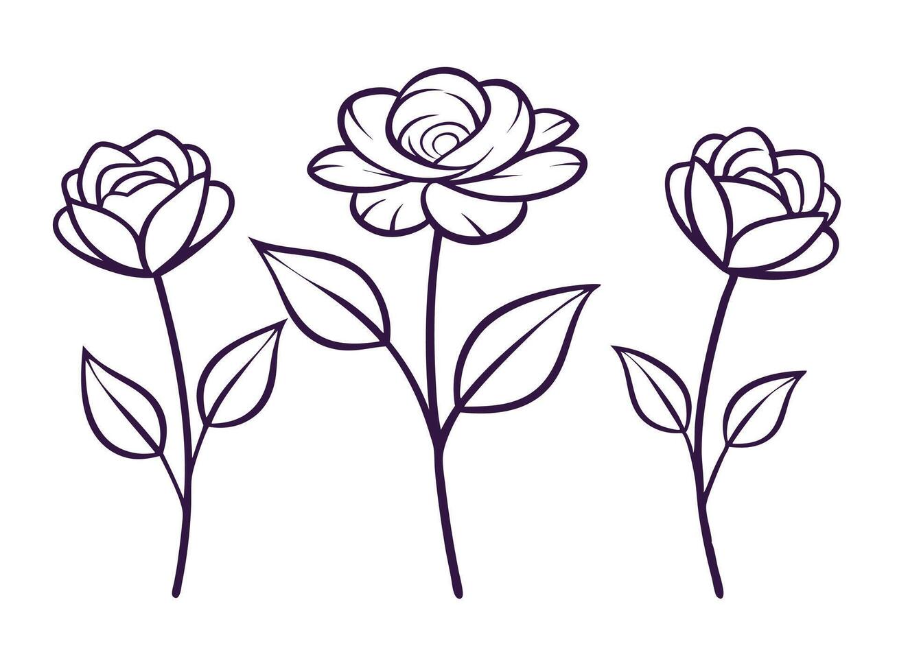 Delicate illustration featuring three elegant rose flower outlines on a clean white background vector