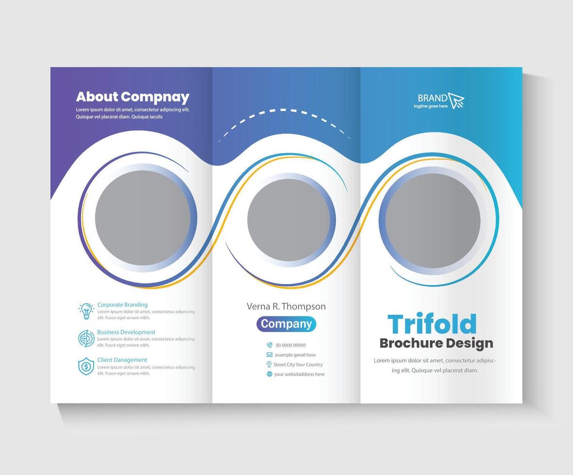 trifold brochure design 2026 vector
