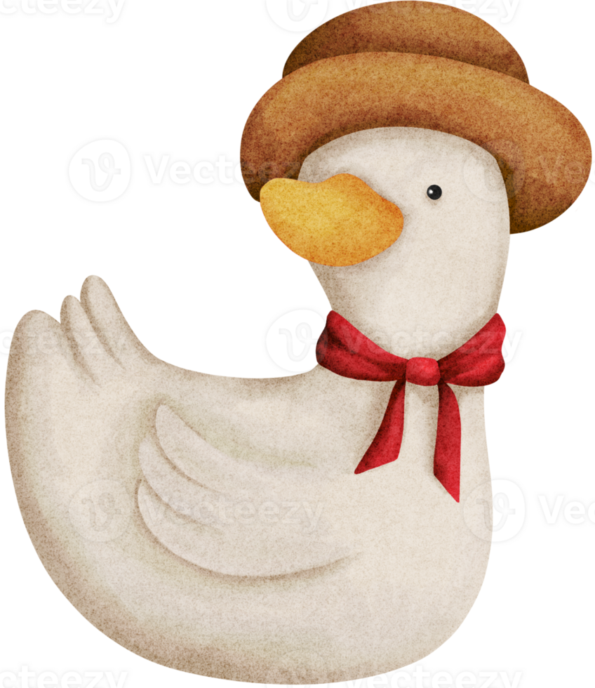 The handsome duck png