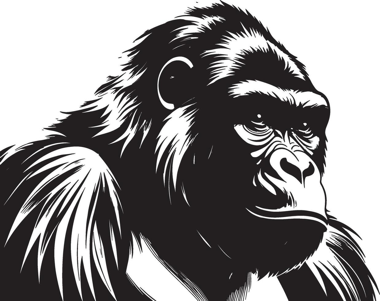 Gorilla Head silhouette vector