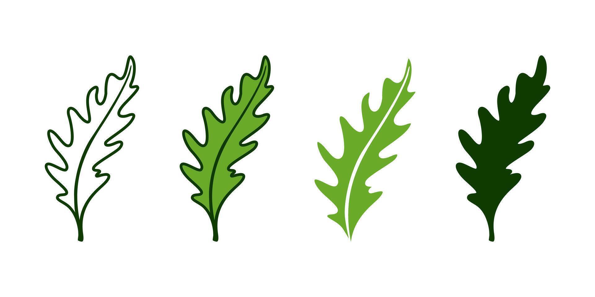 Arugula leaf icon set, logo collection. Isolated on white background. vector