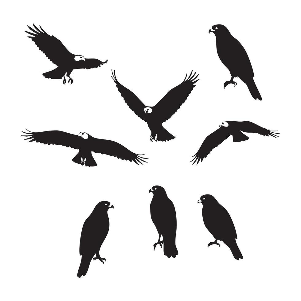 Minimalist hawk silhouette designs on white background vector