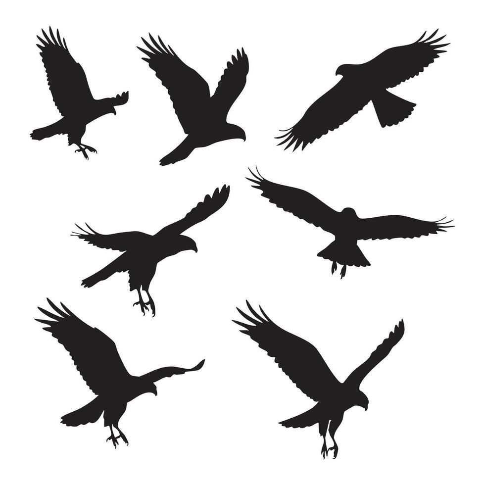 Collection of hawk shadow figures on white background vector