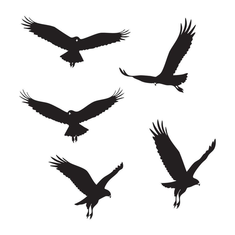 Hawk silhouette collection on white background vector