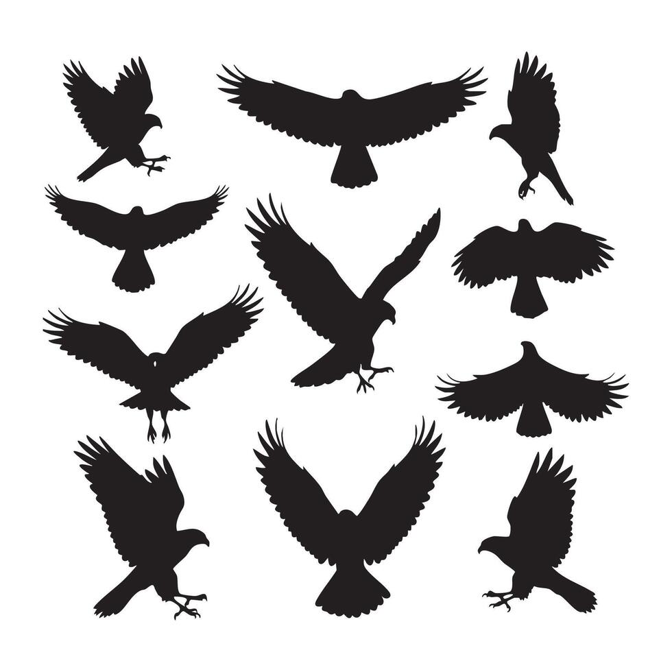 Stylized hawk silhouettes laid out on white background vector