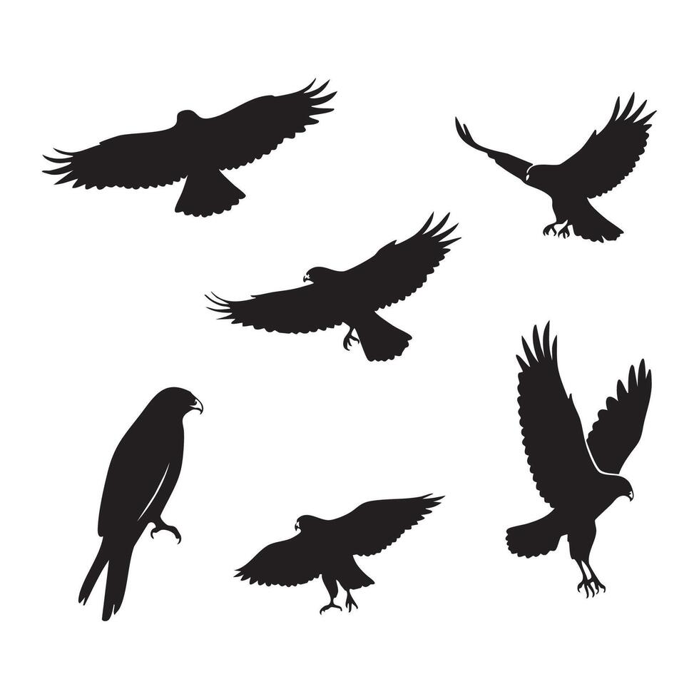 Hawk silhouette pack over white background vector