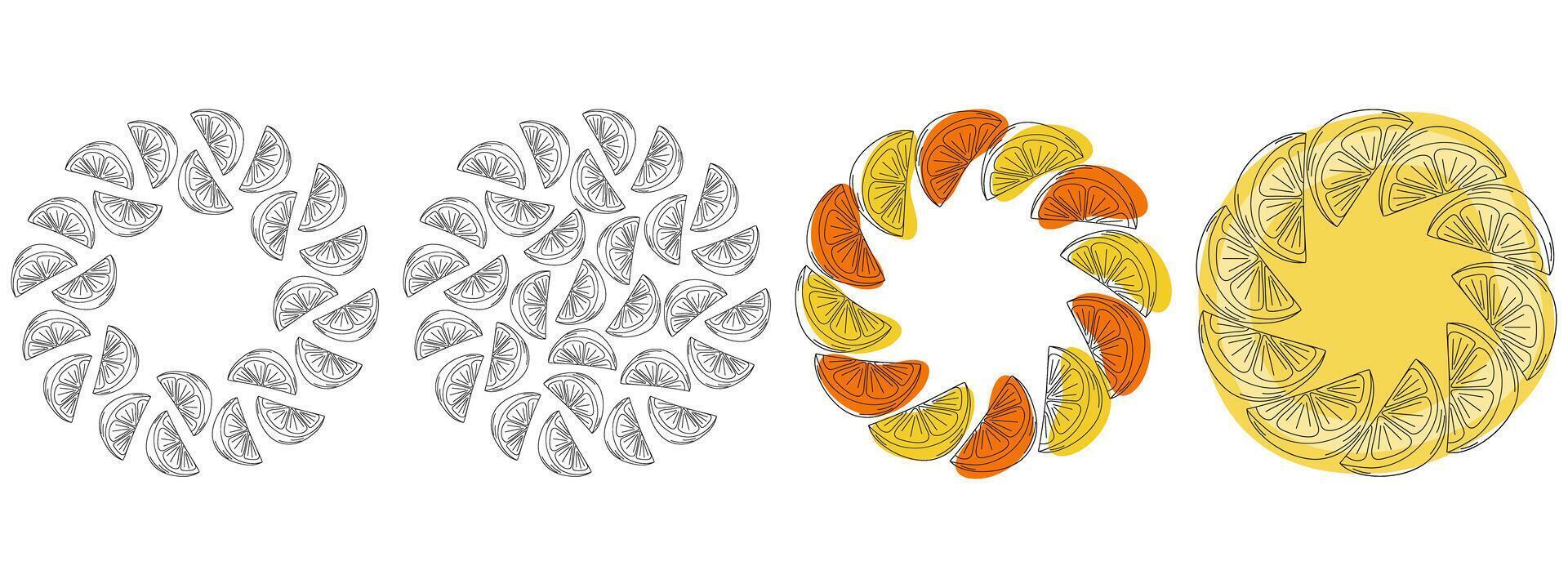 Outline Hand Drawn Citrus slices and Colorful spots Circle Frame Border and Round Backdrop Bundle. Isolated illustration Fruits or Cozy Autumn Thematic Card Promo banner, leaflets, price, label vector