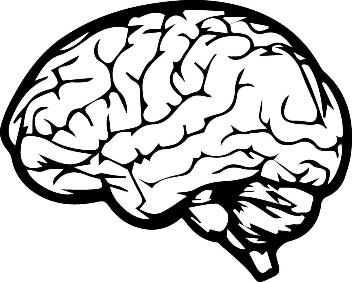 A black and white drawing of a human brain vector