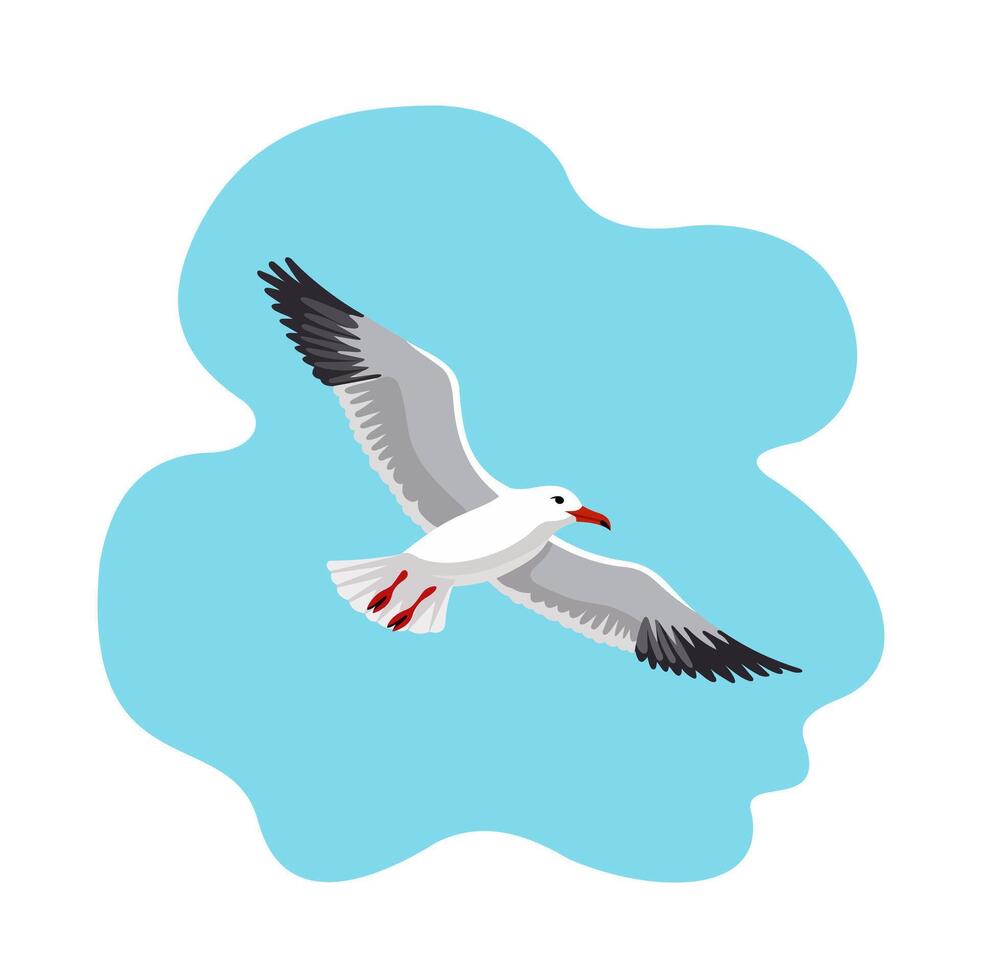 Seagull flying freely in the sky. vector