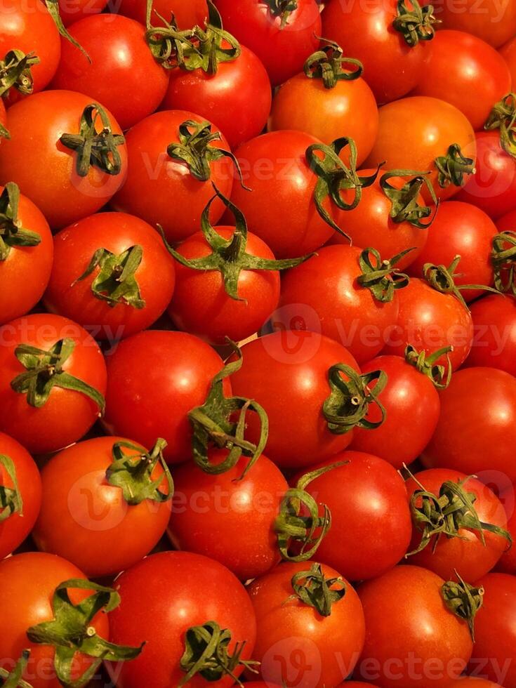 Red tomatoes background. Red tomatoes on the counter photo