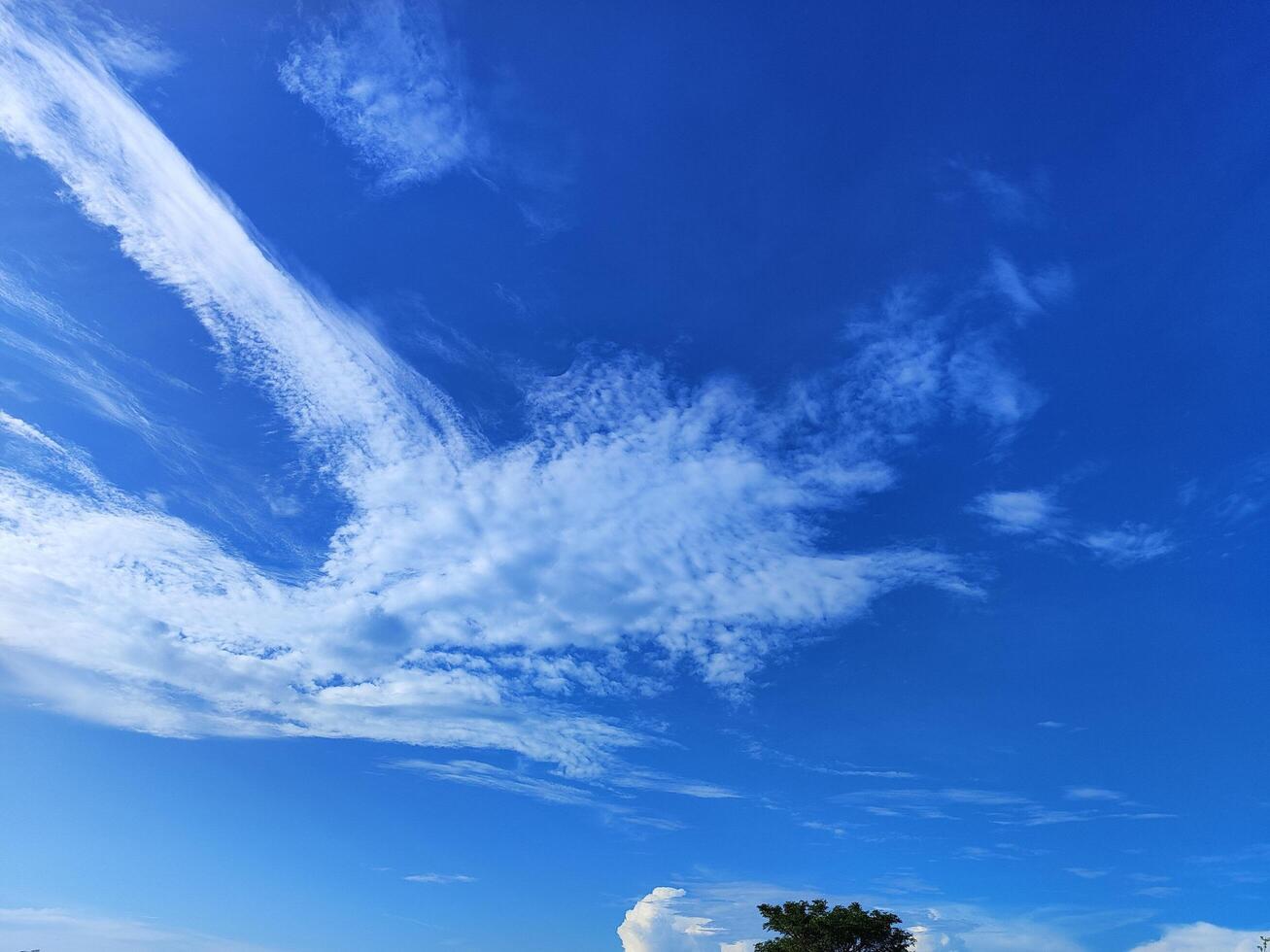 Vivid Blue Sky with Light Cloud Formation in Daylight photo