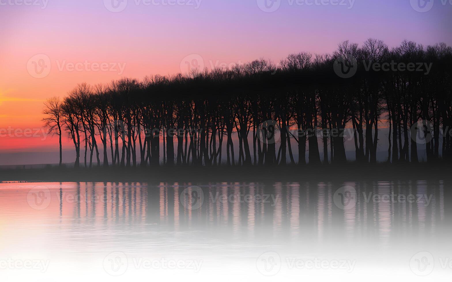 Silhouetted trees reflecting in calm water at sunset photo