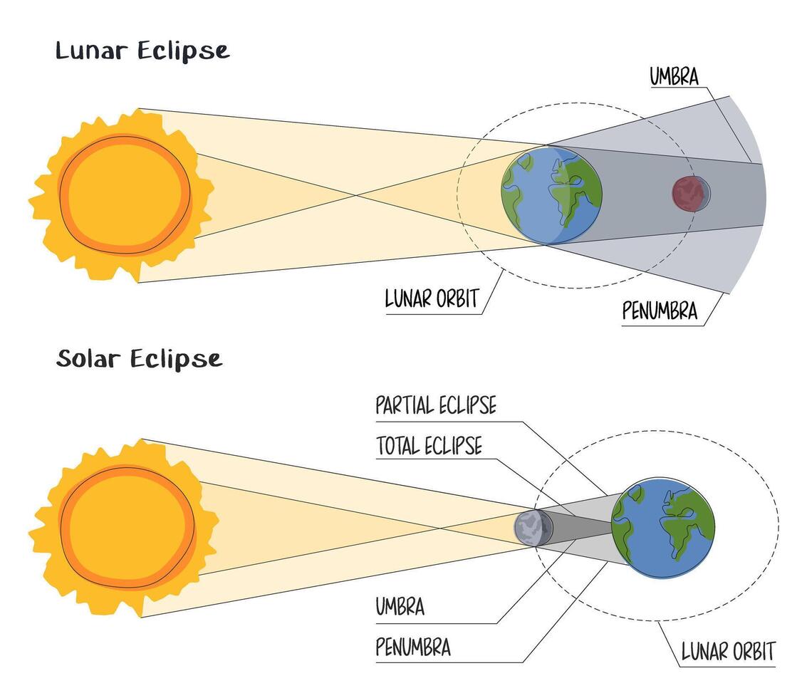 Solar and lunar eclipse infographictyle on white background. Moon's orbit, umber and penumbra. The Moon passes between the Earth and the Sun. astronomical event phenomena of the full red moon vector