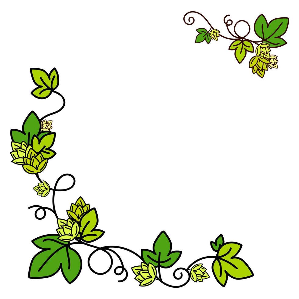 Floral frame with green hop vines, leaves, and flowers forming a decorative corner border,for brewing labels, invitations, natural product packaging, seasonal promotional materials. illustration vector