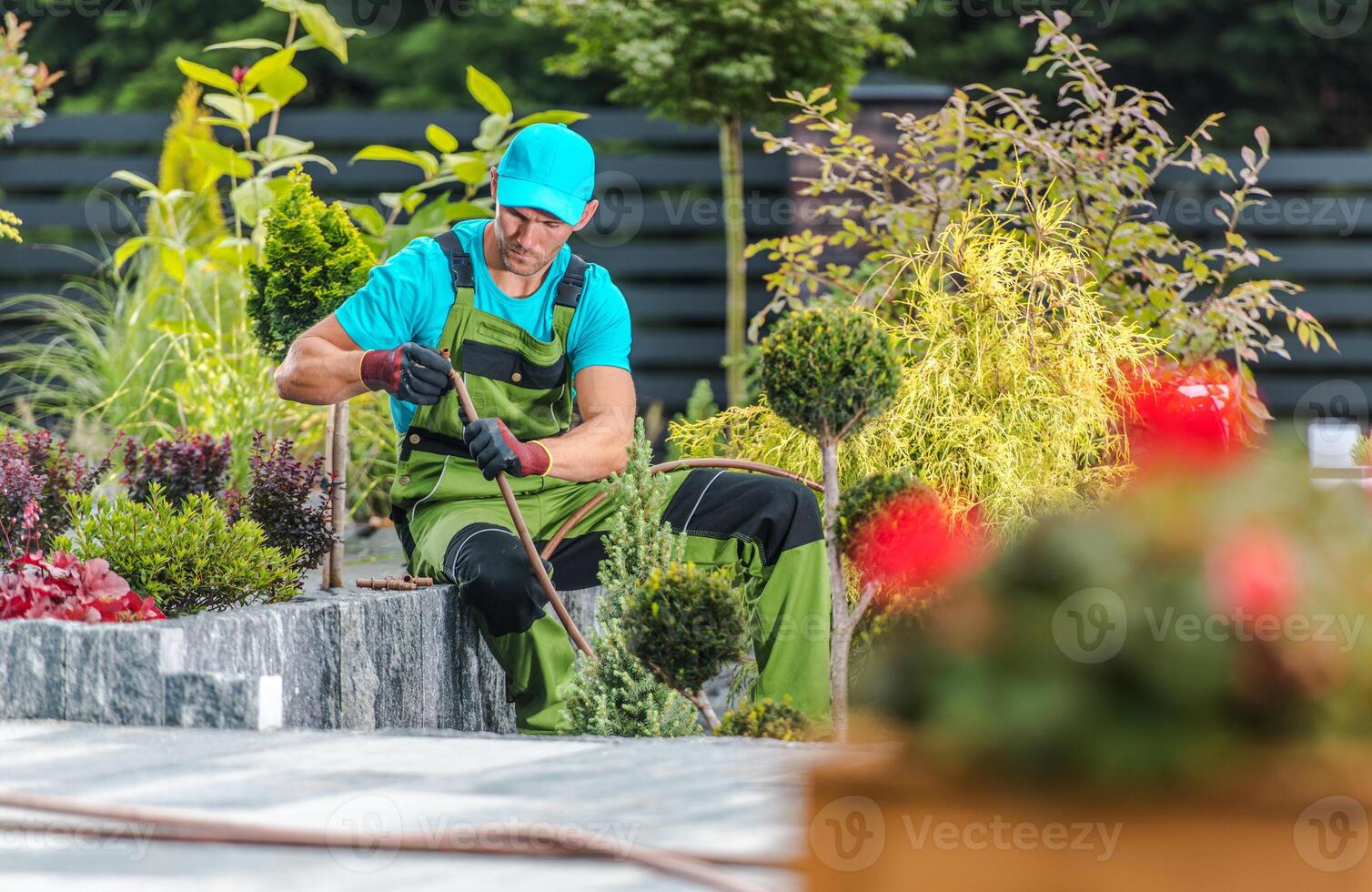 Gardener Tending to Plants and Landscaping in Vibrant Outdoor Space During Sunny Day photo