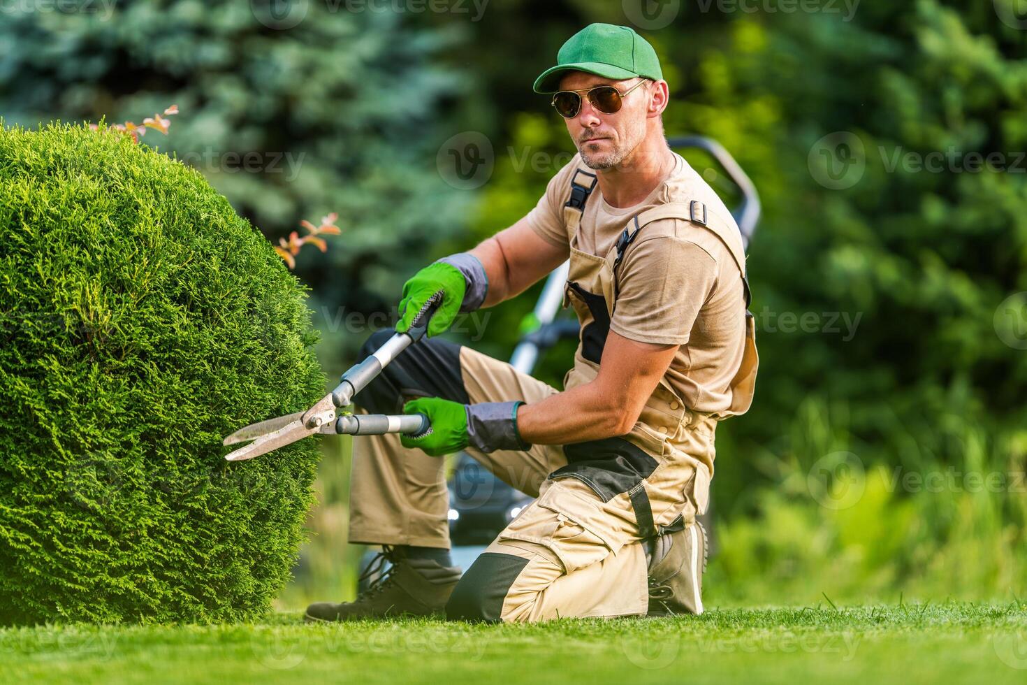 Gardener Trims Lush Green Shrub in a Vibrant Outdoor Space During a Sunny Day photo