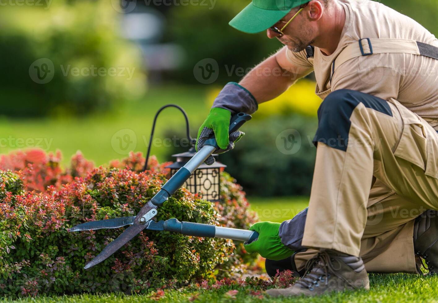 Gardener Trims Shrubs in a Vibrant Backyard Garden During a Sunny Afternoon photo