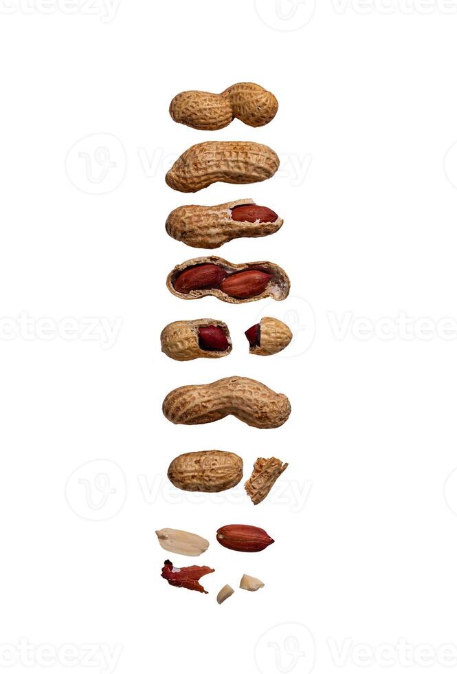 Peanuts with shell isolated on white photo