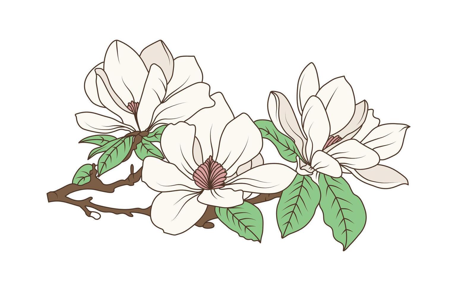Floral magnolia branch with detailed botanical drawing in line art for nature inspired floral illustrations vector