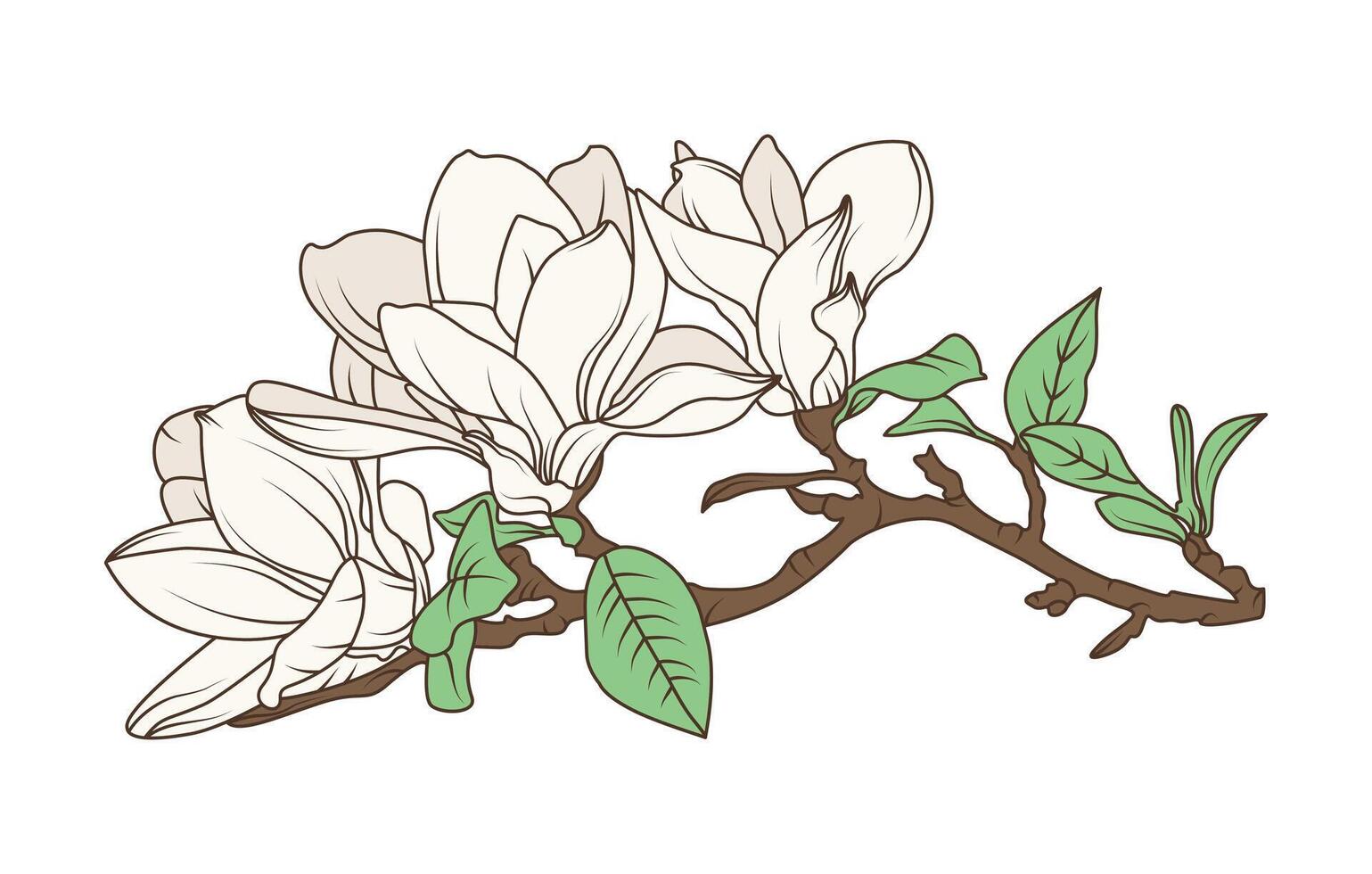 Floral magnolia branch with blooming flower line art and botanical style for nature inspired illustrations vector