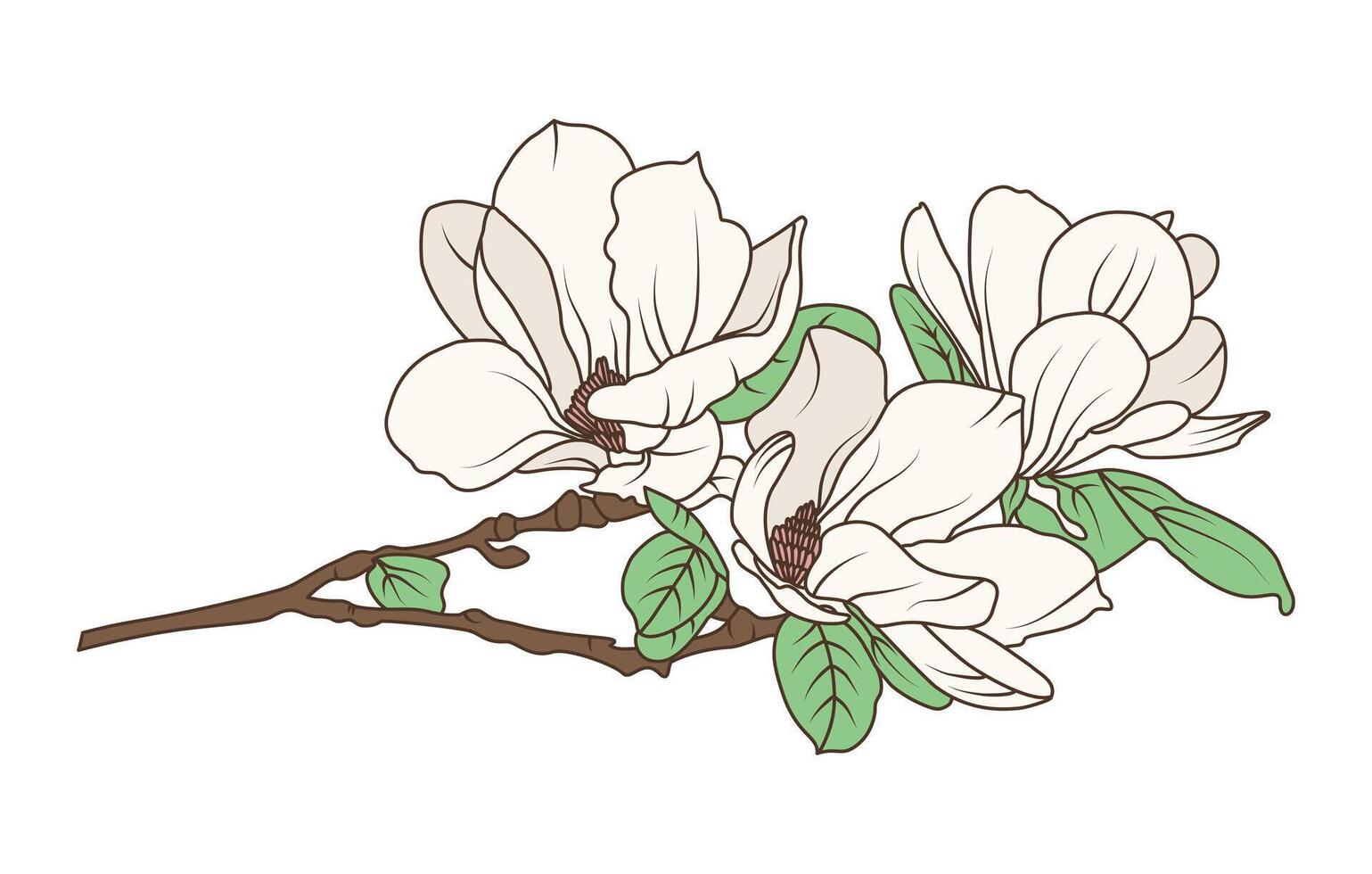 Line art drawing of magnolia flower and botanical branch for floral design and nature inspired artwork vector