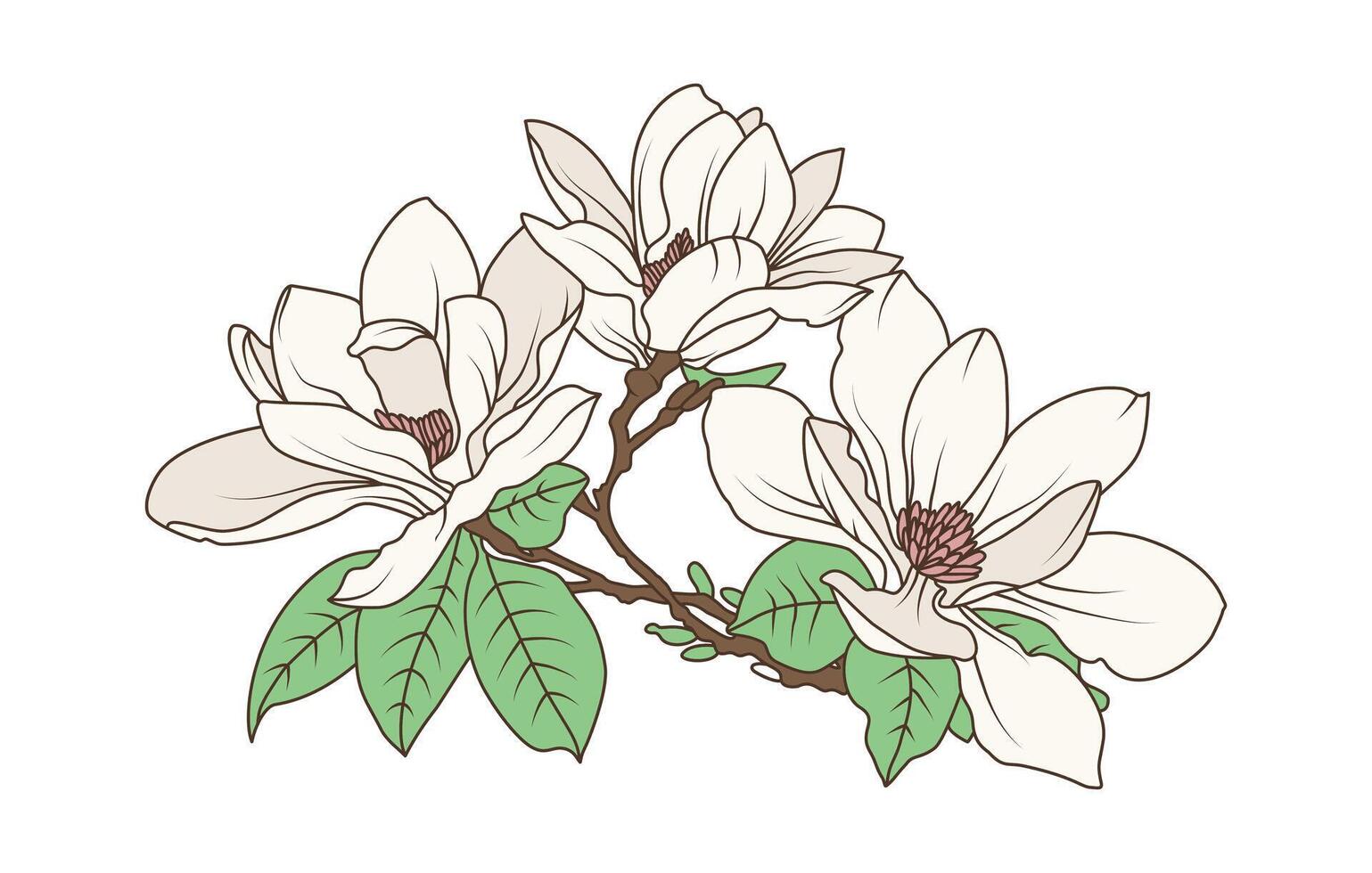Magnolia flower branch line art botanical drawing illustration for floral design decoration and nature prints vector
