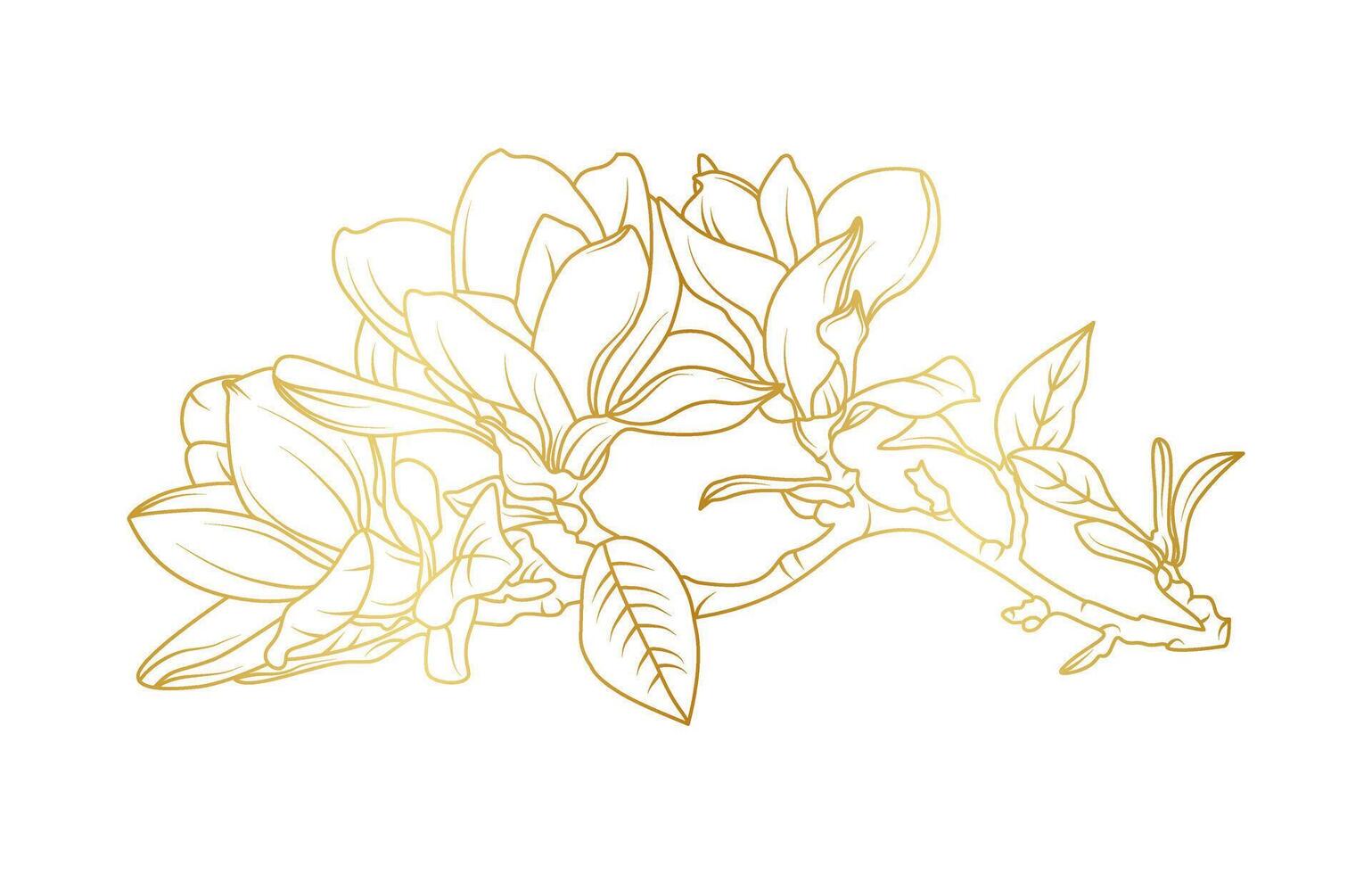Golden line art magnolia illustration, floral for luxury design vector