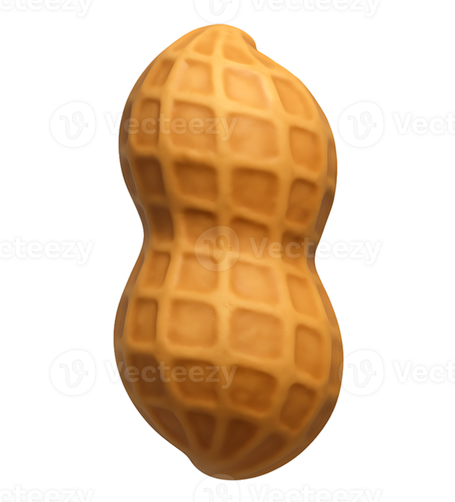 3D Style Peanut png