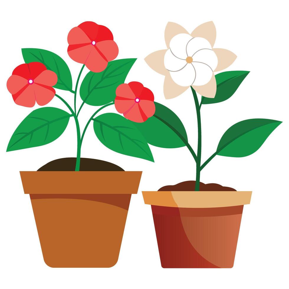 Two potted flowering plants with contrasting colors vector