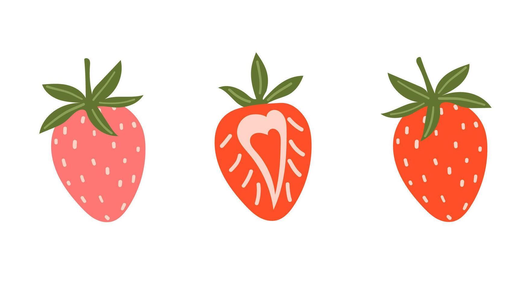 Fresh Strawberry Fruit Hand Painted. Set Summer Red Berry whole and halved. White Background. Illustration vector