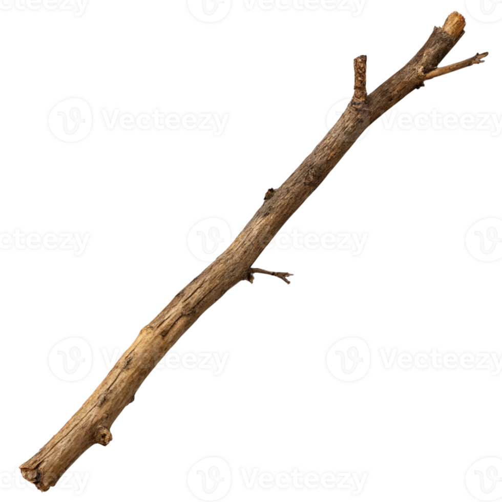 a stick on a transparent background png