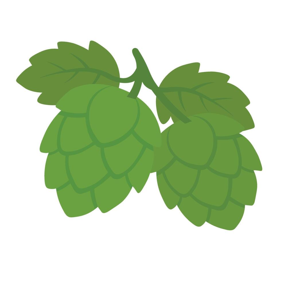 Green hop branch in flat cartoon style, perfect for beer theme, Oktoberfest, design and stickers. vector
