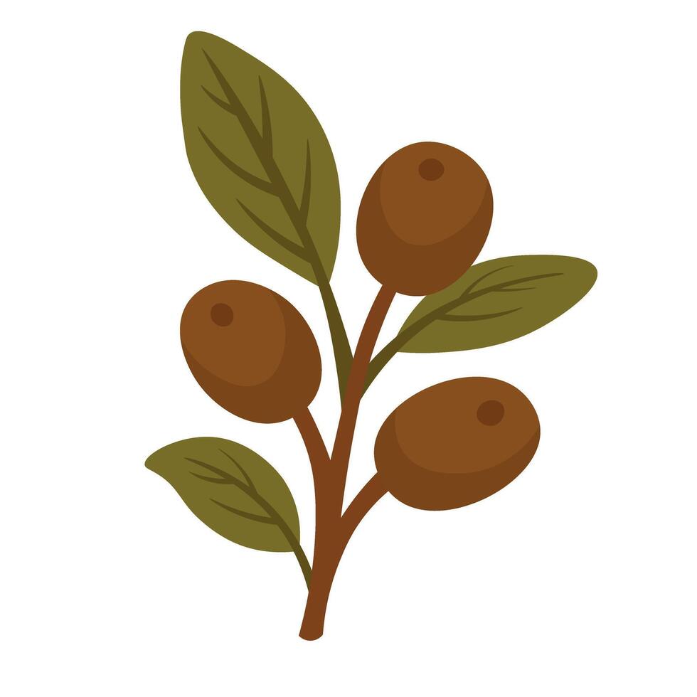 coffee plant branch with beans and leaves, flat cartoon clipart for nature and cafe themes. vector
