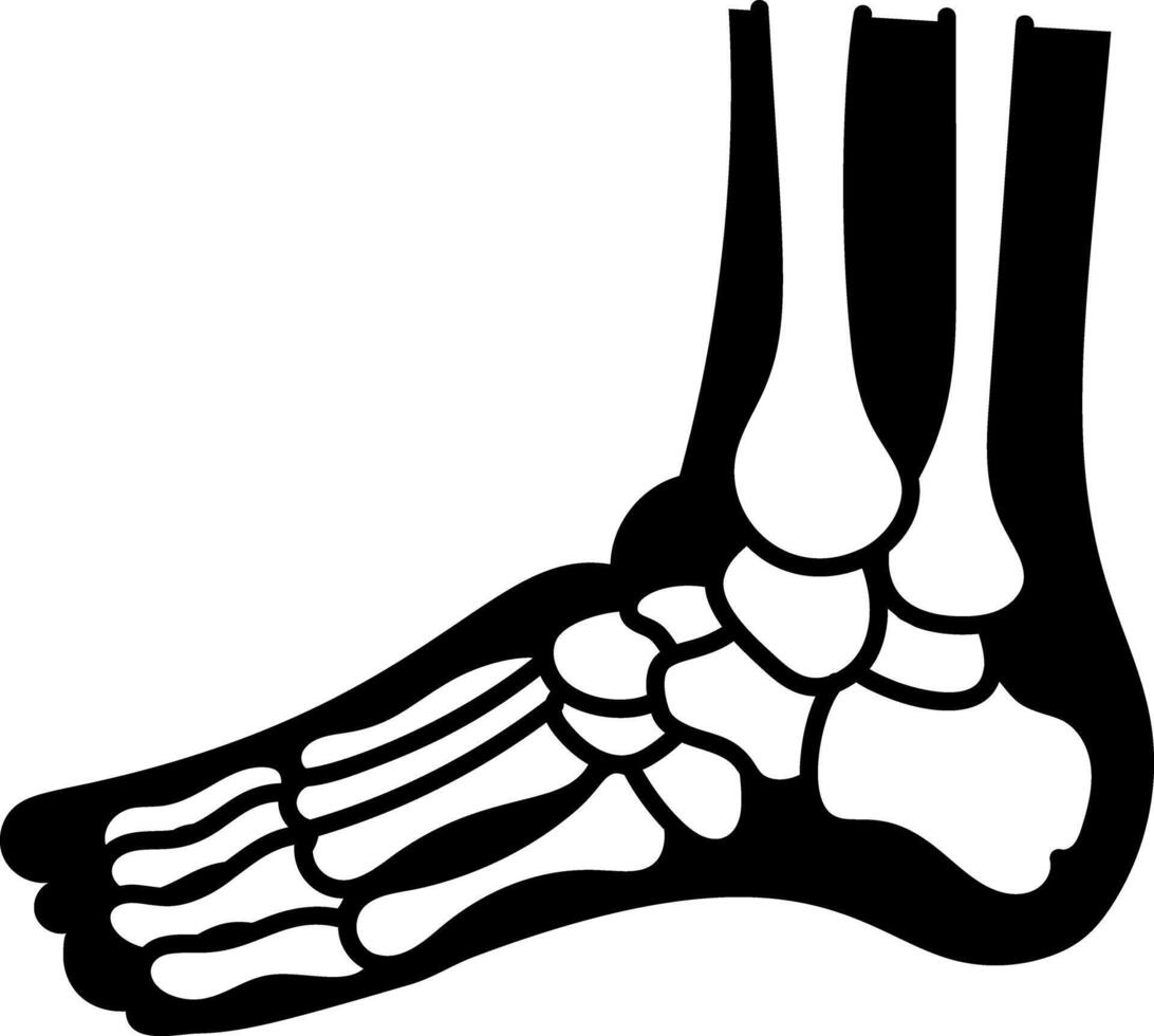 A sketchy style icon of feet bones vector