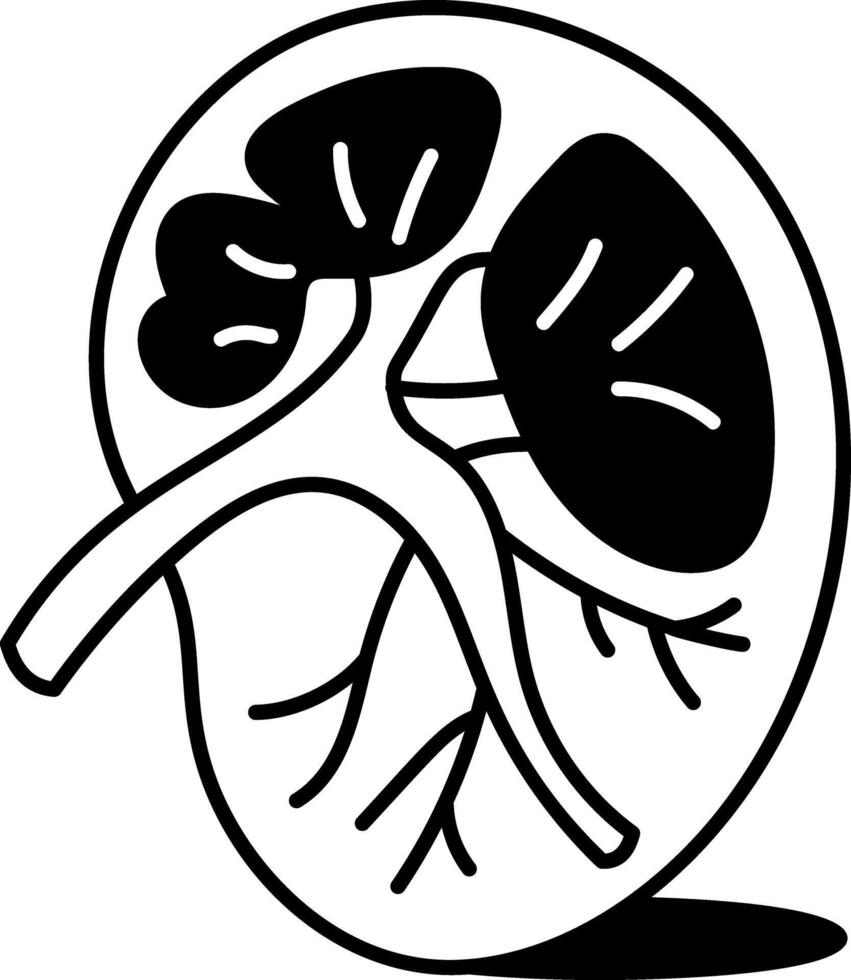A hand drawn style icon of kidney vector
