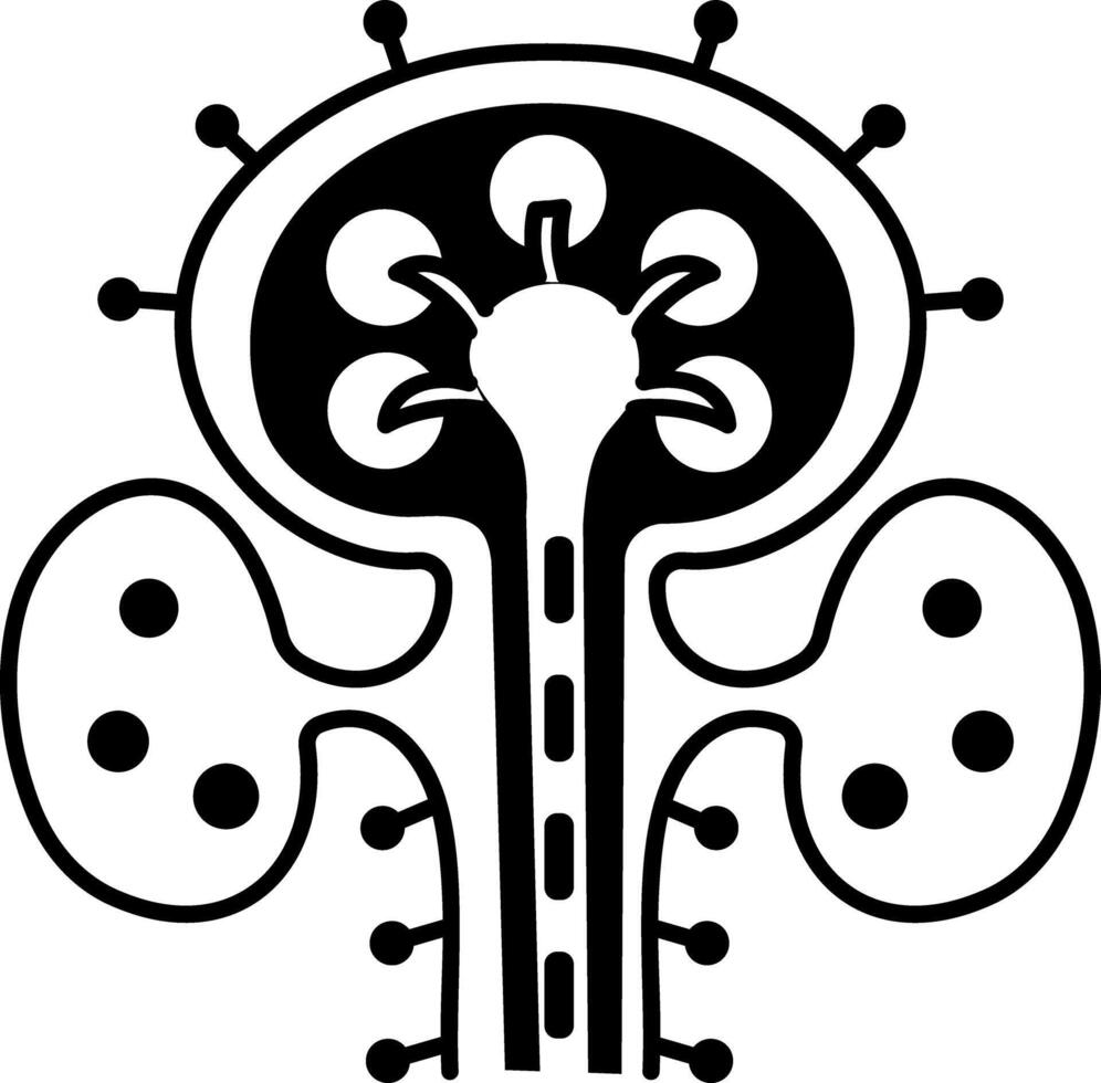 A hand drawn style icon of immune organ vector