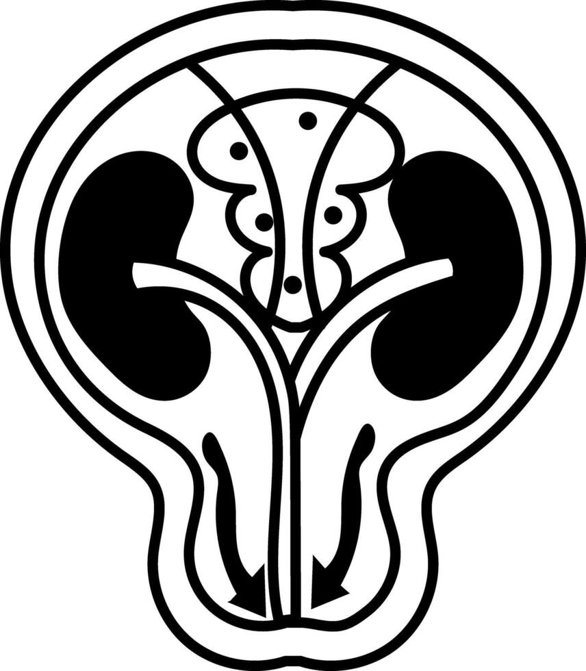 A doodle style icon of ureteral orifice vector