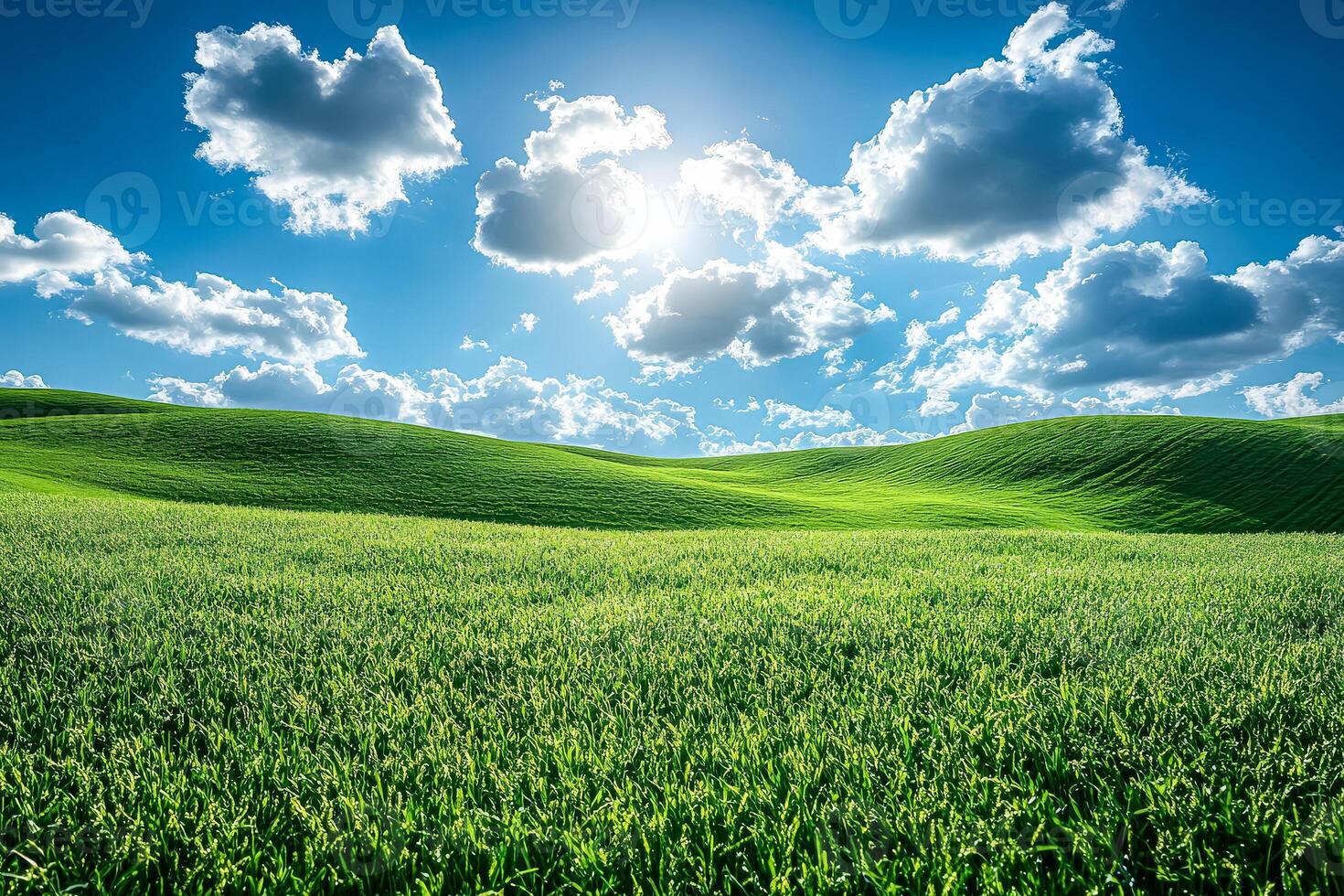 Field of green grass with a bright sun shining through the clouds photo