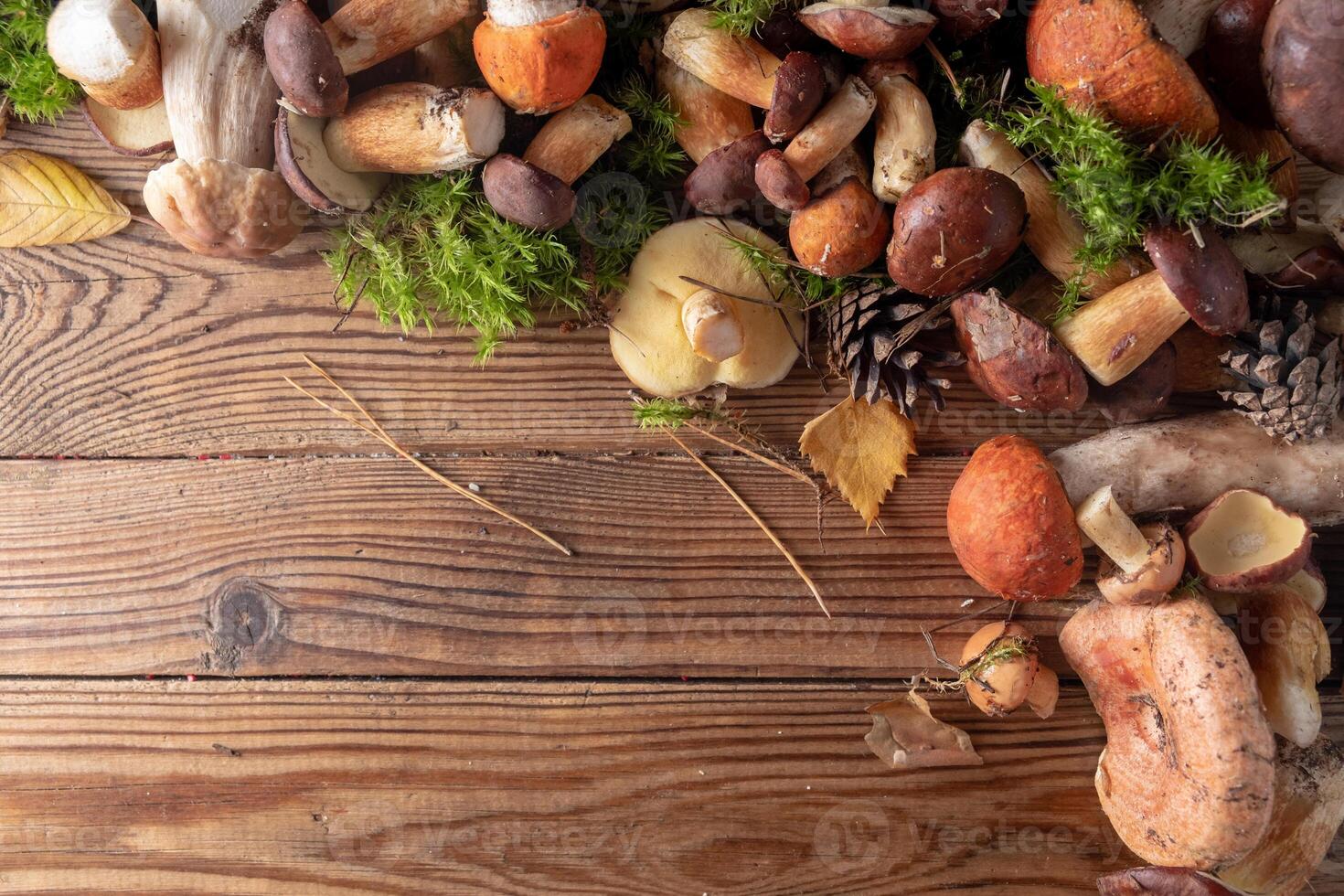 A variety of fresh forest mushrooms on a wooden background. top view, copy space. Autumn concept. Mushroom frame. photo