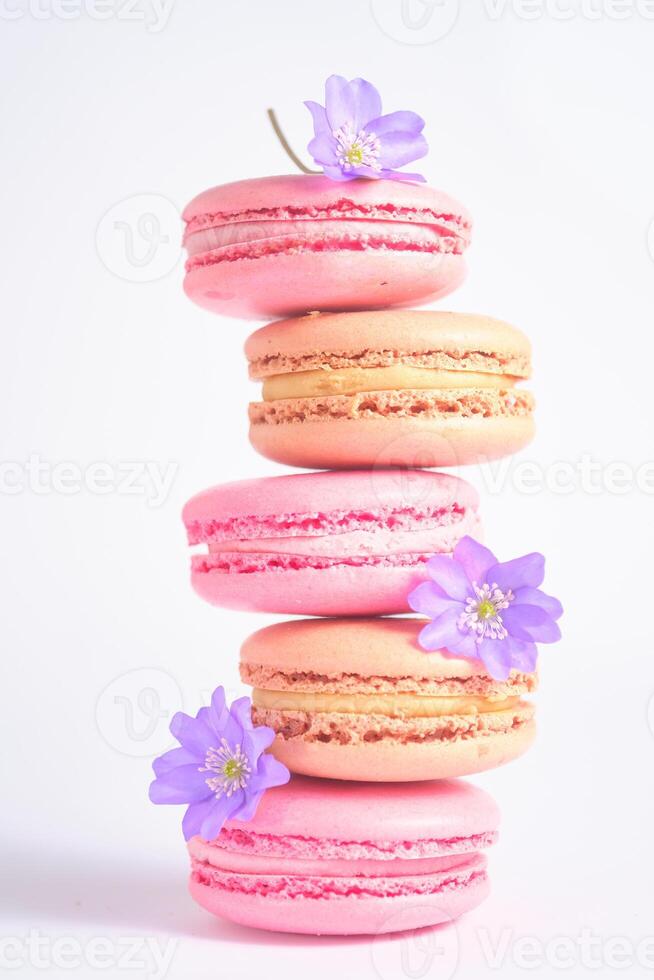 Vertical Stack of Macarons with lilac Flowers on White Background photo