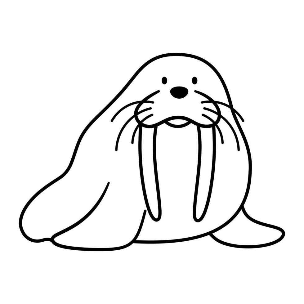 Walrus Outline Illustration. This is a simple black and white line art illustration of a walrus. The walrus is depicted with a large body. vector